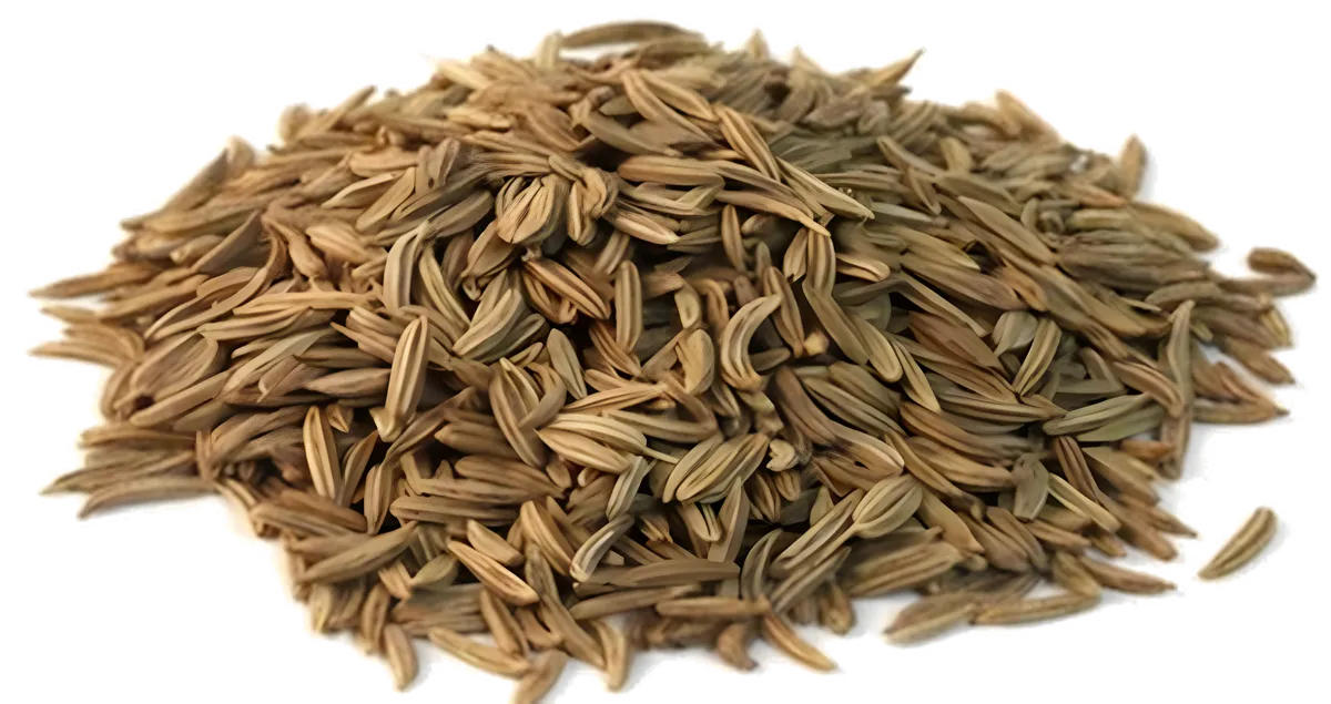 Gros plan sur graines d'anis vert entier SAMIA, épice aromatique pour plats salés et infusions, catégorie épicerie salée.